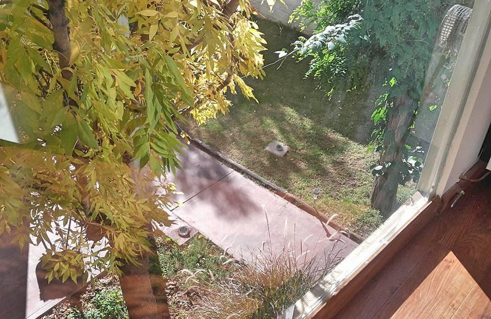 "Casa Amalia Apartamentos" Plaza Italia Y Av Aristides A 50Mts, Lugar Con Jardin Mendoza Zewnętrze zdjęcie